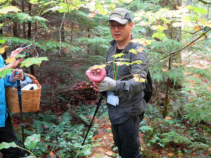 Mushroom hunting success! Tour-goer with a shrimp mushroom